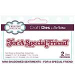 Creative Expressions Sue Wilson Craft Die Mini Shadowed Sentiments For A Special Friend (CEDSS039)