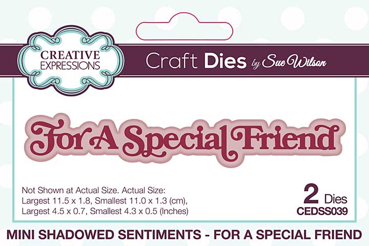 Creative Expressions Sue Wilson Craft Die Mini Shadowed Sentiments For A Special Friend (CEDSS039)