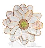 SO: Bigz - Flower Petal Power