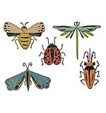 SO: Sizzix Thinlits Dies By Tim Holtz 5pk - Funky Insects