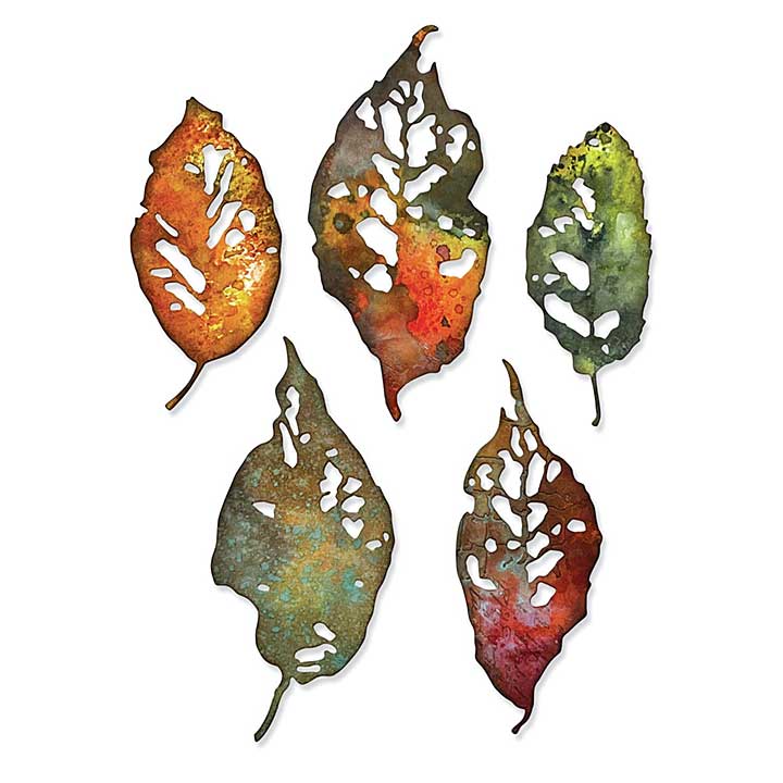 Sizzix Thinlits Dies By Tim Holtz 5pk - Leaf Fragments