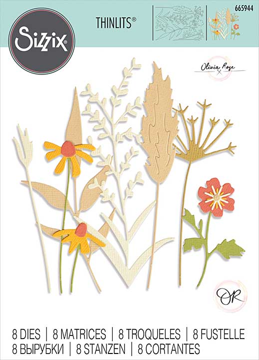 Sizzix Thinlits Dies - Delicate Autumn Stems 8pk by Olivia Rose