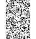 SO: Sizzix 3D Texture Fades Embossing Folder - Acorns by Tim Holtz