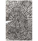 SO: Sizzix 3-D Texture Fades - Tree Rings Embossing Folder (CH4 Tim Holtz)