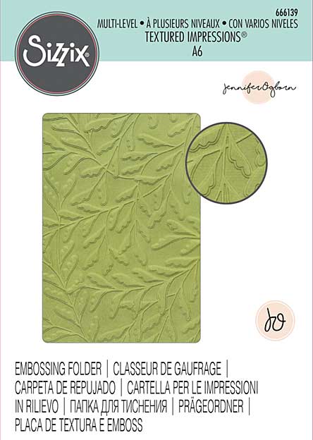 Sizzix Multi-Level Textured Impressions Embossing Folder - Delicate Leaves by Jennifer Ogborn