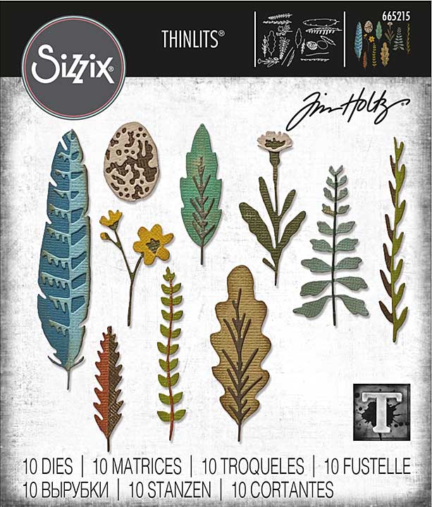 Sizzix Thinlits Dies By Tim Holtz 10Pkg - Funky Nature