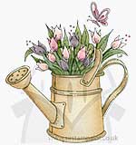 Molly Blooms - Watering Can of Tulips