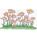 Molly Blooms - Daisy Patch