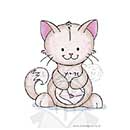 SO: Wild Rose Studio Clear Stamp - Cat with Message [D]