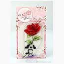 SO: Wild Rose Studio - Clear Stamp - Tilly with Rose