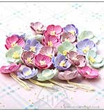 SO: Hobby House Paper Flowers Cherry Blossoms - Summer Time