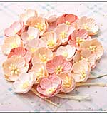 SO: Hobby House Paper Flowers Cherry Blossoms - Peaches and Cream