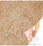 SO: SEI 12x12 Double Sided Paper - A Fair Day - Delicious Dots