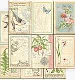 SO: Graphic 45 12x12 Paper Botanical Tea - Love Notes
