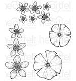 SO: Heartfelt Creations - Water Lily (WF16 Cling Rubber Stamp Set)
