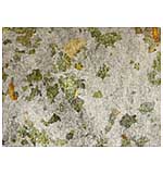 IndigoBlu - Gilding Flakes MegaFlake Gin and Tonic