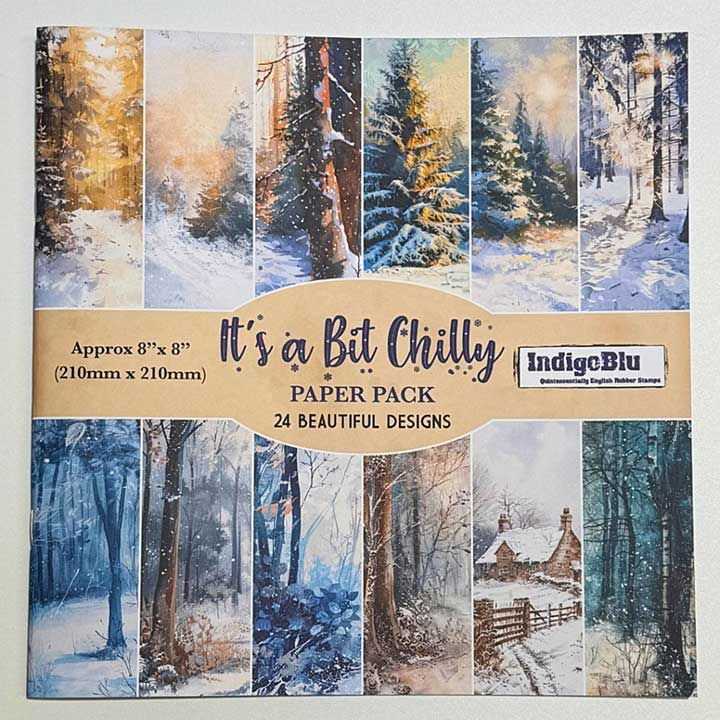 IndigoBlu Its a Bit Chilly 8x8 Inch Paper Book