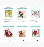 Spellbinders Summer Flora - Full Collection (6 Die Sets) - by Susan Tierney-Cockburn
