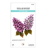 SO: Spellbinders Garden Favourites - Lilac Dies - by Susan Tierney-Cockburn