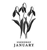 Spellbinders January Snowdrop Press Plates