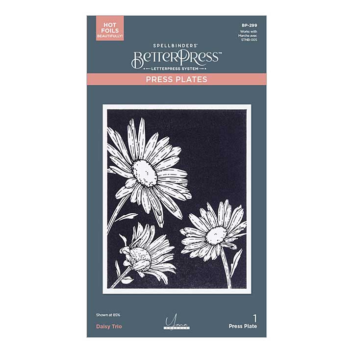 Spellbinders Daisy Trio BetterPress Plates