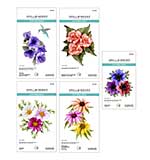 Spellbinders Summer Solstice Garden Die Bundle