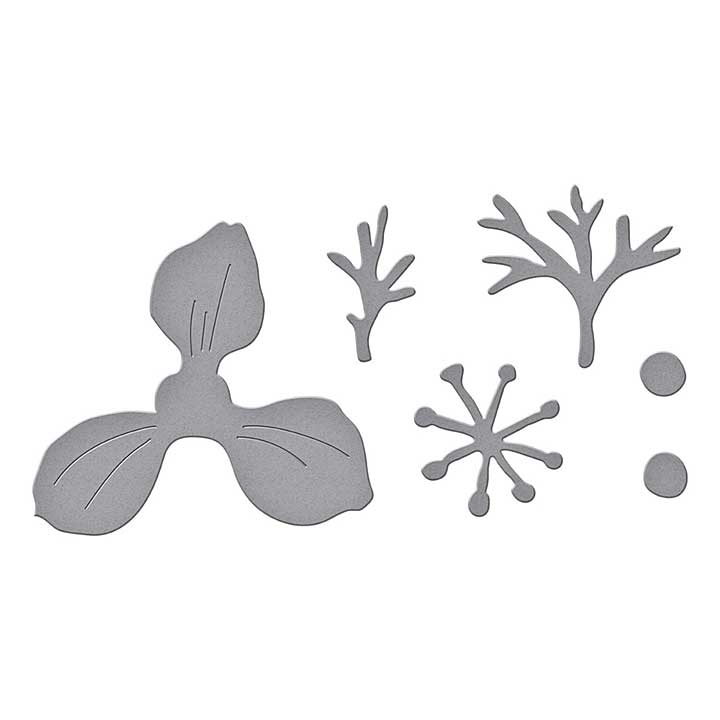 Spellbinders Summer Solstice Garden Etched Dies Anemone