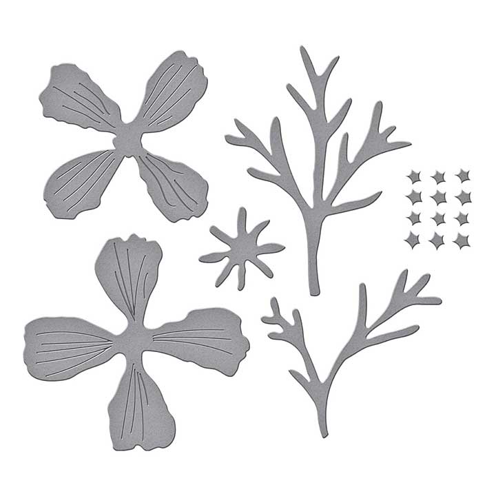 Spellbinders Summer Solstice Garden Etched Dies Cosmos