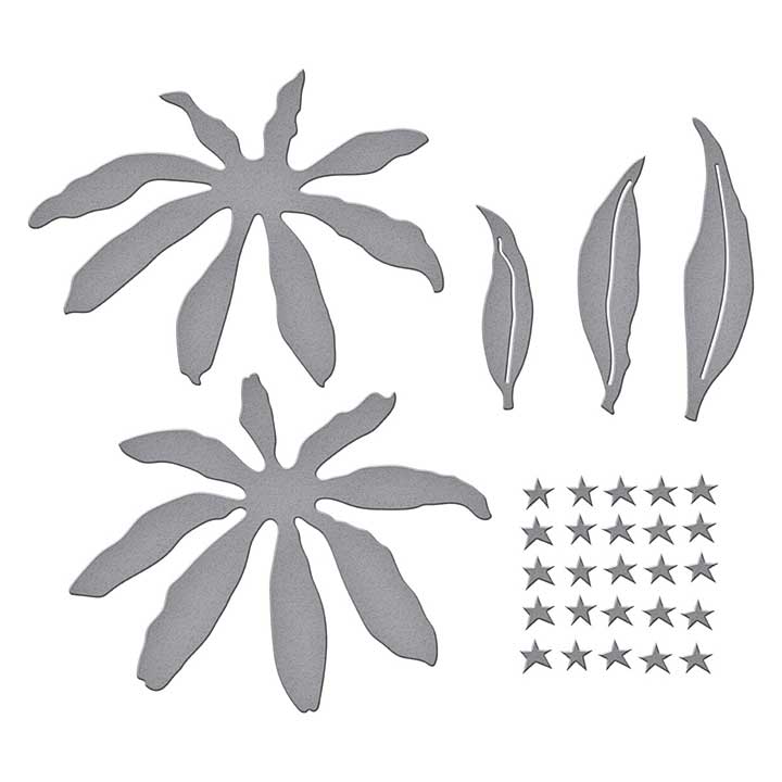 Spellbinders Summer Solstice Garden Etched Dies Echinacea (Coneflower)
