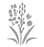 Spellbinders Wildflowers Etched Dies Layered Gladiolus