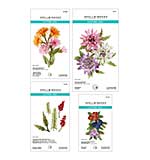 Spellbinders Serenity Garden Die Bundle by Susan Tierney-Cockburn