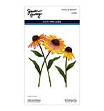 Spellbinders Wild Coneflowers Etched Dies by Simon Hurley