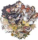 SO: Idea-Ology Layers Die-Cuts - Botanical (83pk)