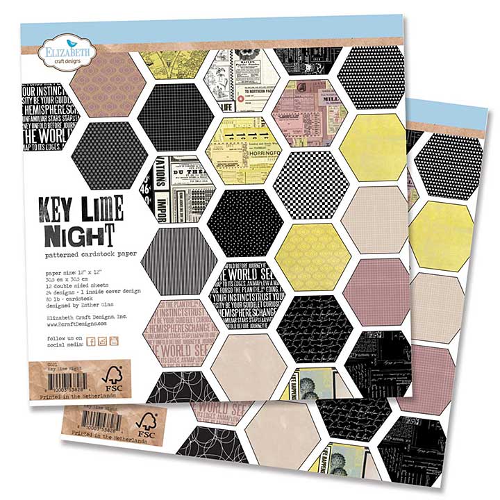 Elizabeth Craft Designs - Key Lime Night DOUBLE Pack (2 x 12x12 Paper Pad) (From the Past)