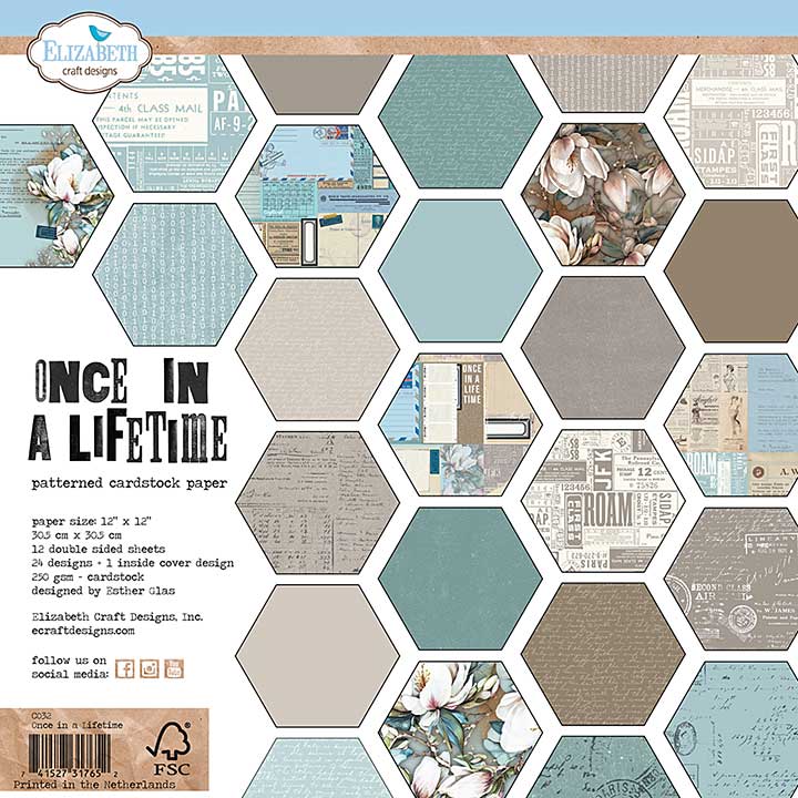 SO: Elizabeth Craft Designs - Once in a Lifetime Paper Pad (Once in a Lifetime)