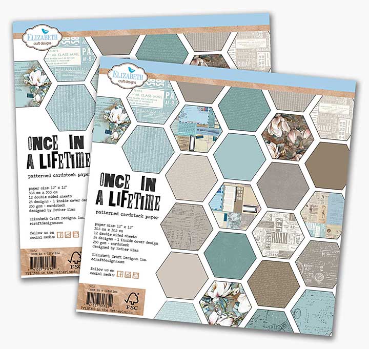 SO: Elizabeth Craft Designs - Once in a Lifetime DOUBLE Pack (2 x 12x12 Paper Pad) (Once in a Lifetime)