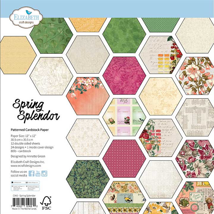 Elizabeth Craft Designs - Spring Splendor SINGLE Pack (1 x 12x12 Paper Pad) (Joys of Spring)