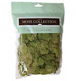 SO: Preserved Reindeer Moss 108.5 Cubic Inches - Spring Green