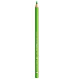 SO: Faber Castell Colour Pencils Polychromos 166 Grass Green (FC-110166)