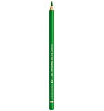 SO: Faber Castell Colour Pencils Polychromos 112 Leaf Green (FC-110112)