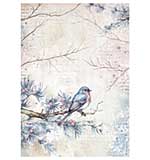 Stamperia Create Happiness Dewdrops A4 Rice Paper Bird