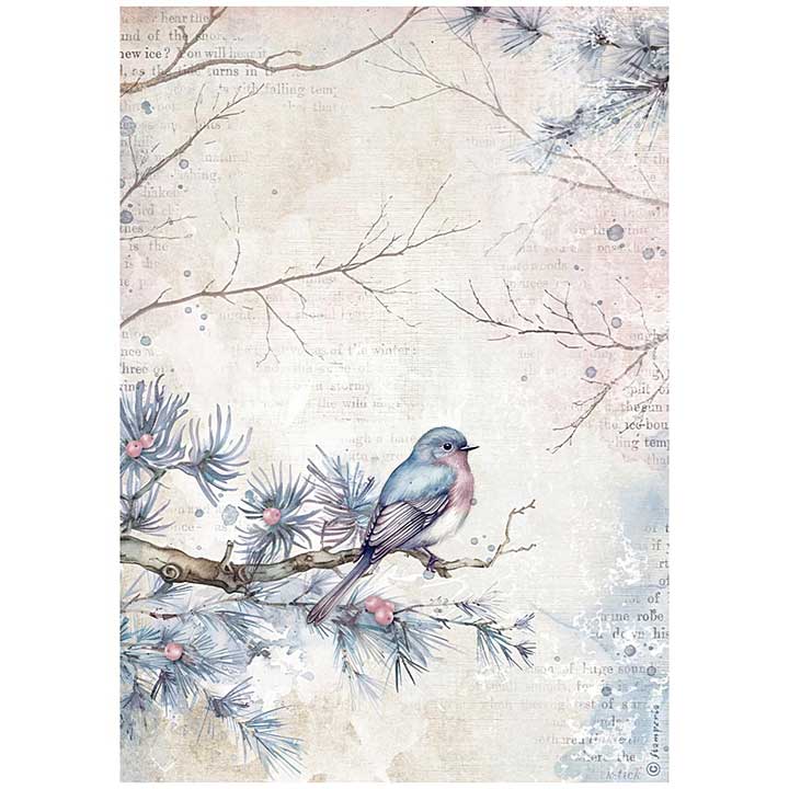 Stamperia Create Happiness Dewdrops A4 Rice Paper Bird