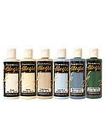 Stamperia Timeless Allegro Paint Kit (6pcs)