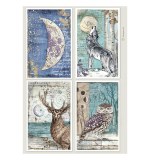 Stamperia Cosmos A4 Rice Paper 4 Cards (6pcs) by Cristina Radovan