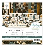 Cabinet of Curiosities 12x12 Inch Collection Set (16pcs)