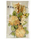 SO: 49 And Market Wildflowers - Ginger (8pk)