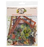 SO: 49 & Market Acetate Assortment Set - Vintage Orchard