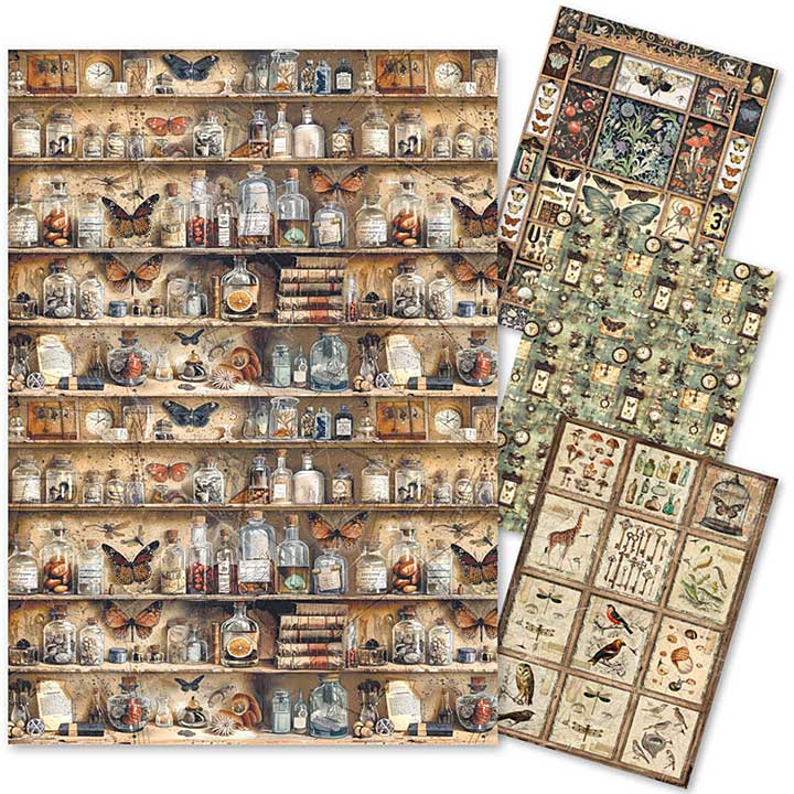 Ciao Bella Cabinet of Curiosites A4 Rice Paper Mixed (4pcs)