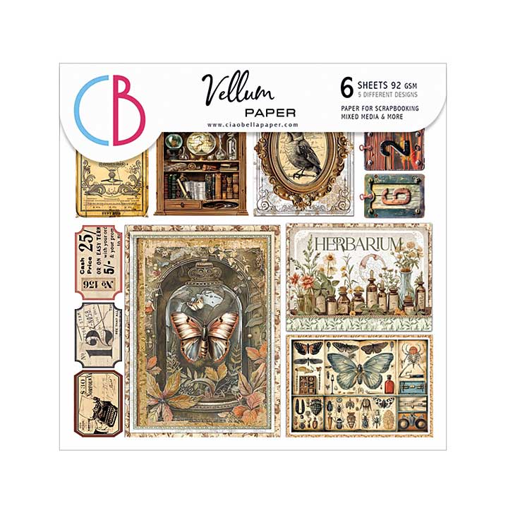 Ciao Bella Cabinet of Curiosities 6x6 Inch Vellum Fussy Cut (6pcs)
