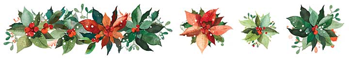 ACS Season of Joy Poinsettia Kiss-Cut PET Tape (Season of Joy)